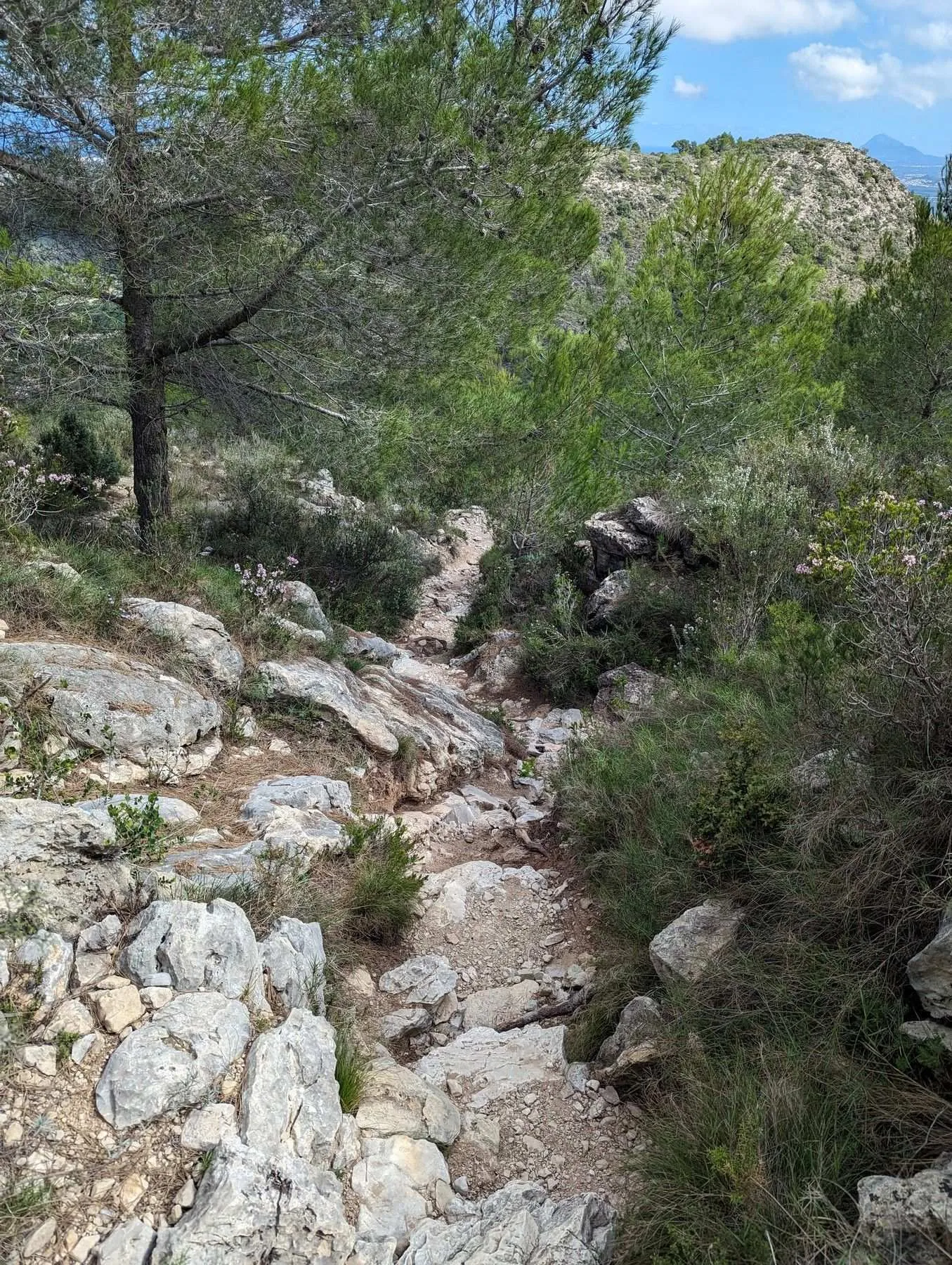 Local hiking Marxuquera